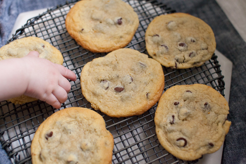 orange cinnamon chocolate chip cookie recipe for holiday and christmas cookies and baking.